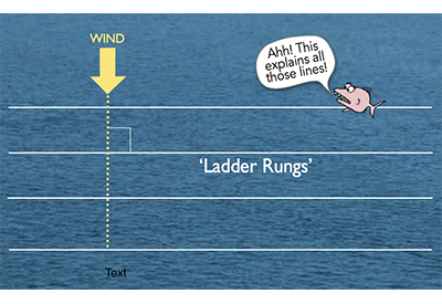Ladder Rungs Racing